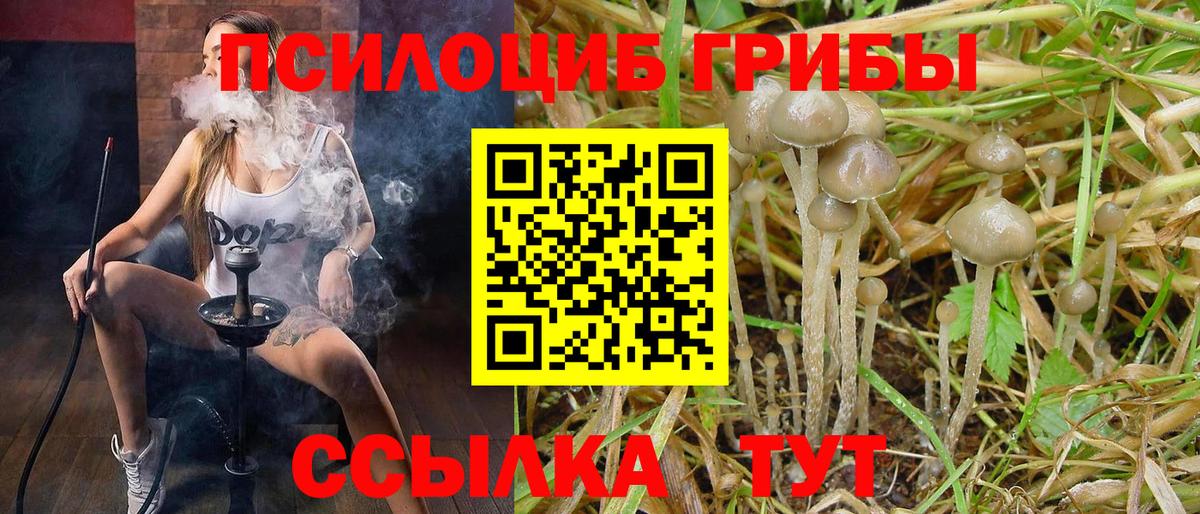 Галлюциногенные грибы мицелий Конаково