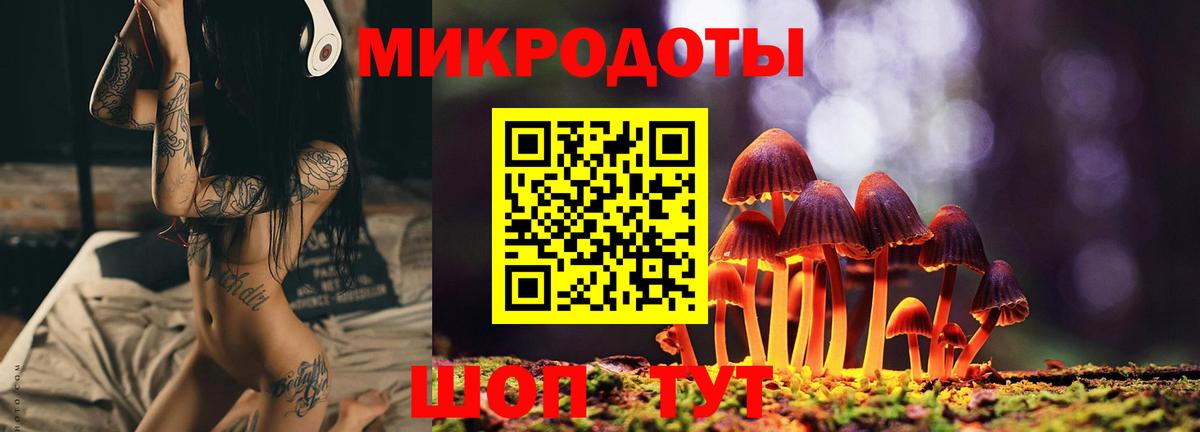 Галлюциногенные грибы GOLDEN TEACHER  Вход с VPN  Галлюциногенные грибы MAGIC MUSHROOMS  Конаково 